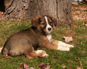 Vader 8 weeks