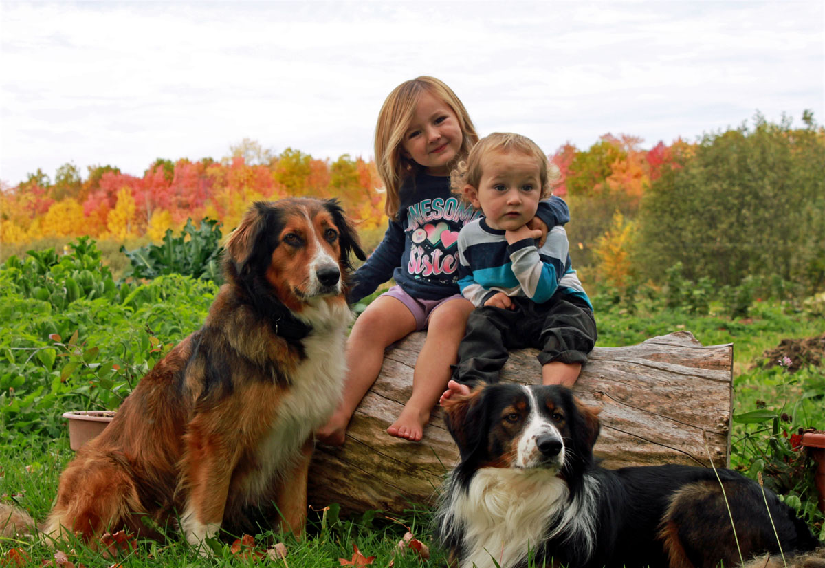 Our English Shepherds Forever Wild Farm